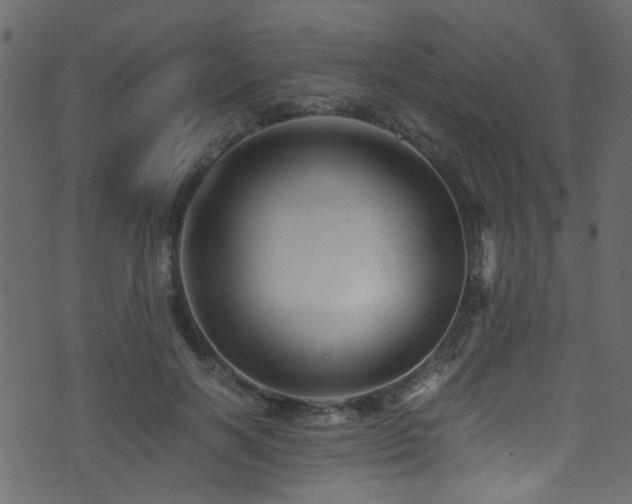 X0000071790646200606301246