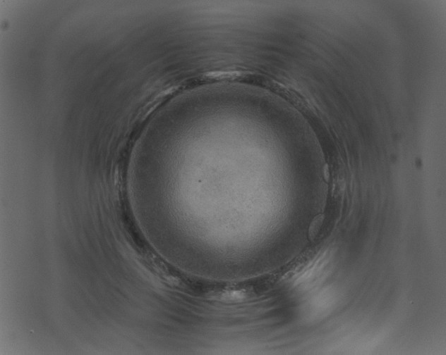 X0000071790647200606301246
