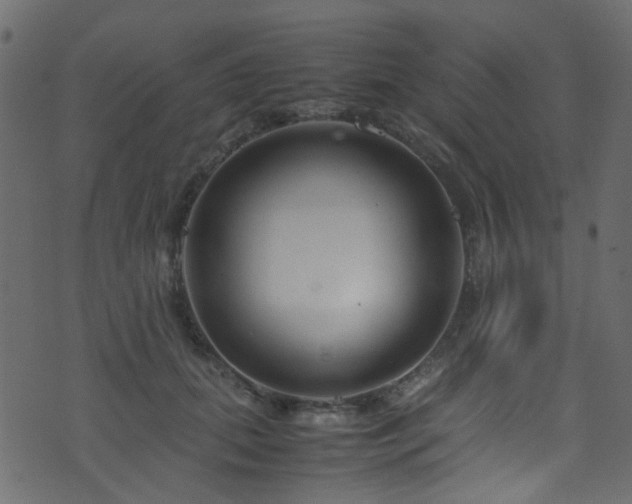 X0000071790655200606301246
