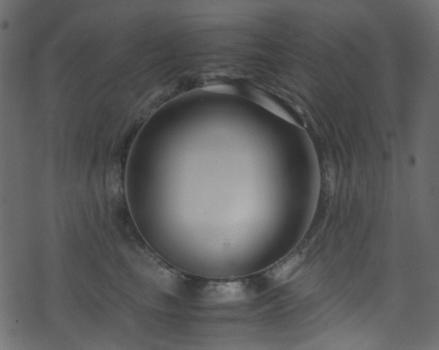 X0000071790665200606301246