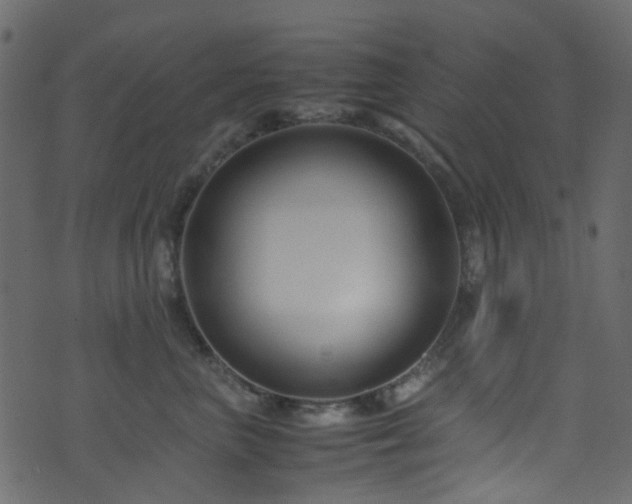 X0000071790667200606301246