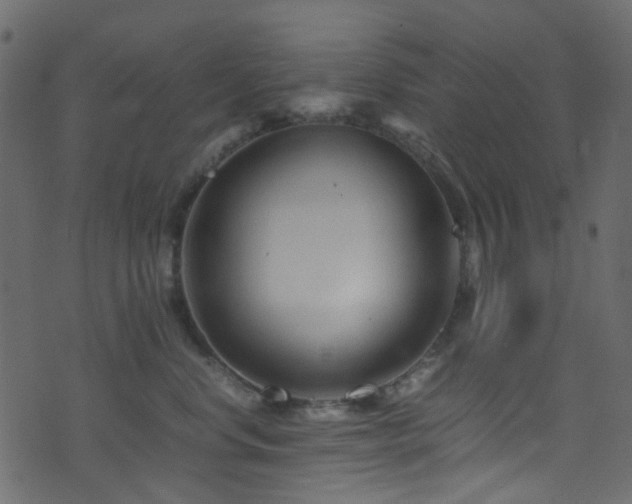 X0000071790668200606301246