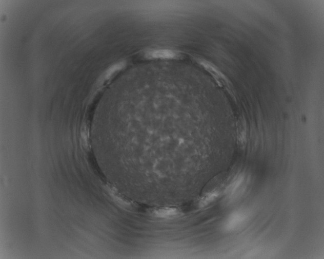 X0000071790669200606301246