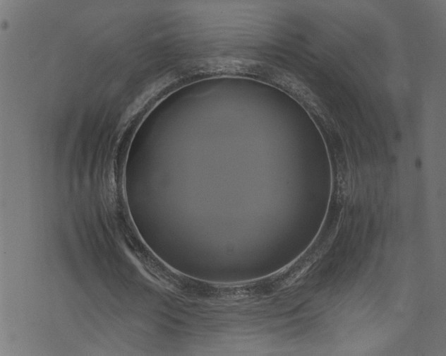 X0000071790674200606301246