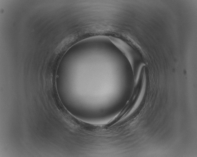 X0000071790685200606301245
