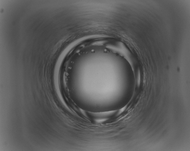 X0000071790693200606301245