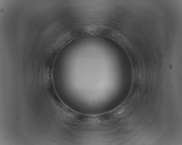 X0000071790702200606301245
