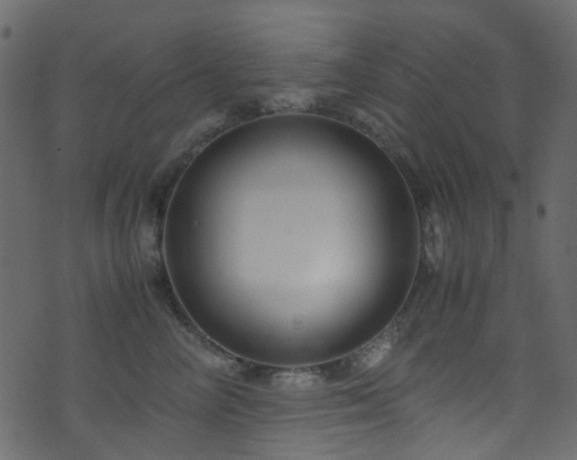 X0000071790714200606301245