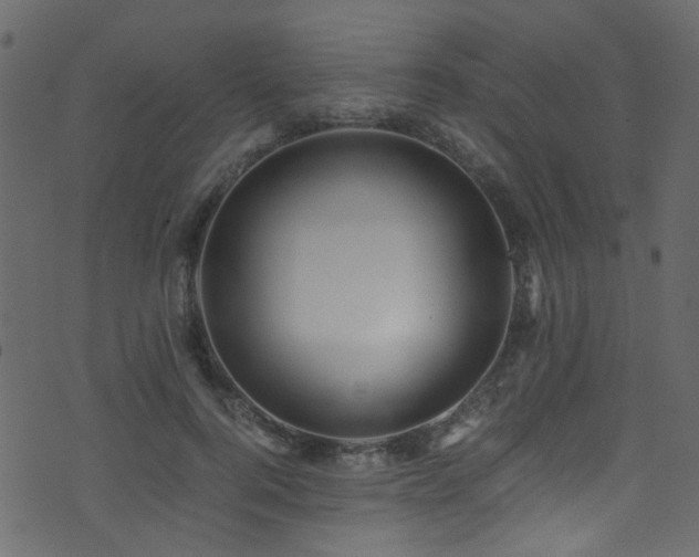 X0000071790744200606301244