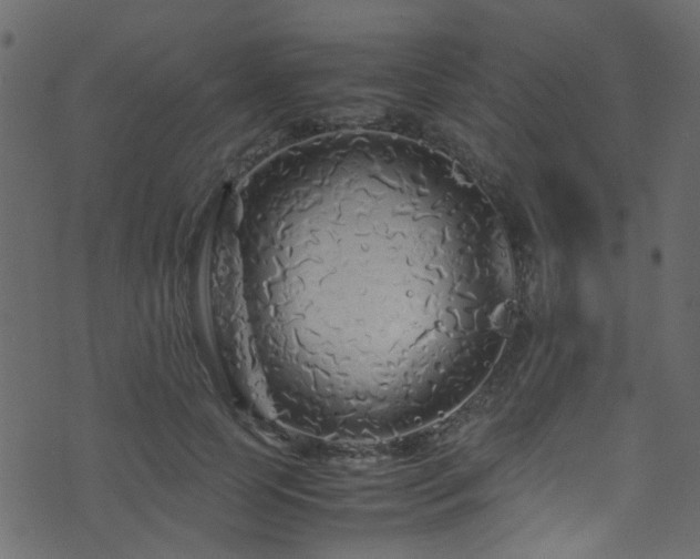 X0000071790745200606301244