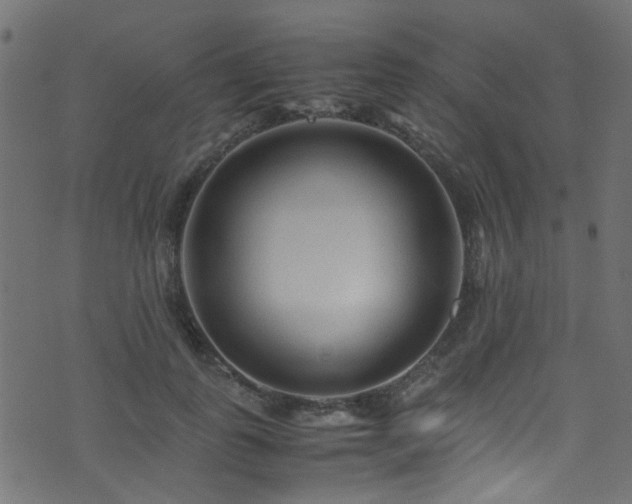 X0000071790747200606301244