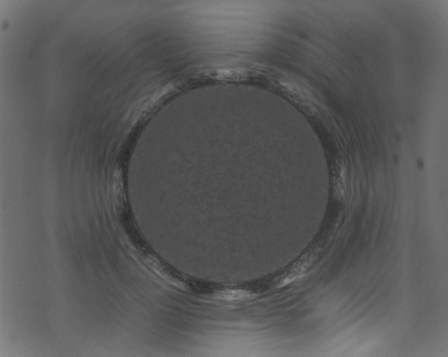 X0000071790748200606301244