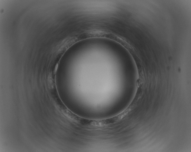 X0000071790764200606301245