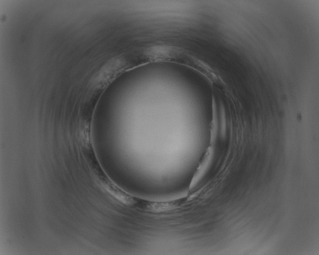 X0000071790766200606301245