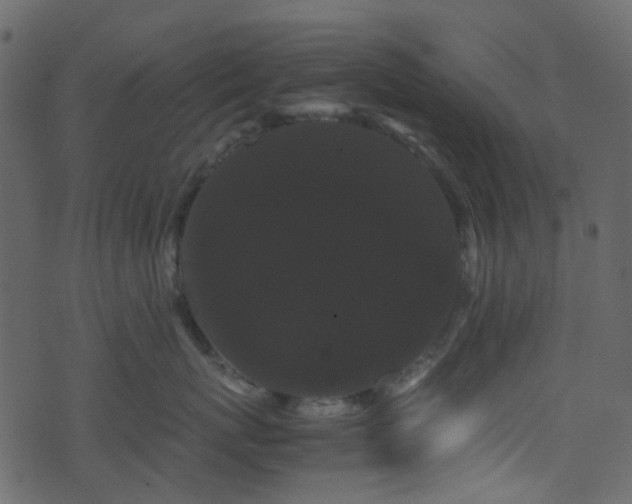 X0000071790767200606301245