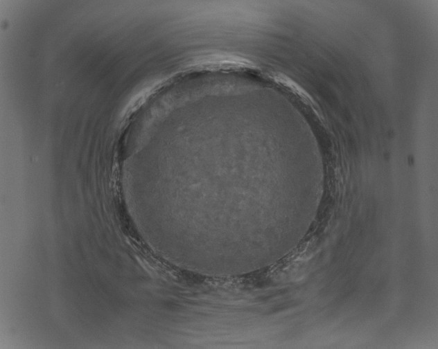 X0000071790775200606301244