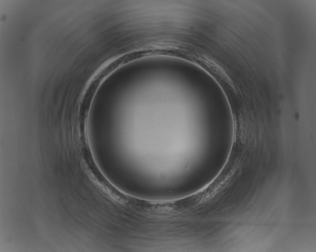 X0000071790784200606301244