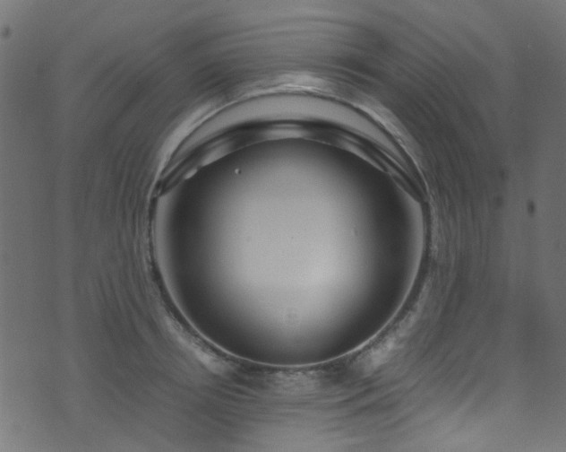 X0000071790850200606301243