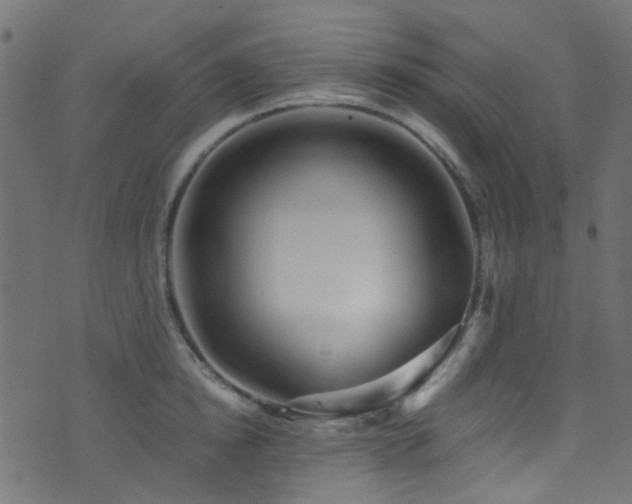 X0000071790854200606301243