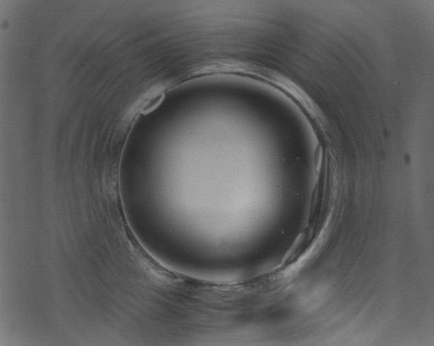 X0000071790857200606301243