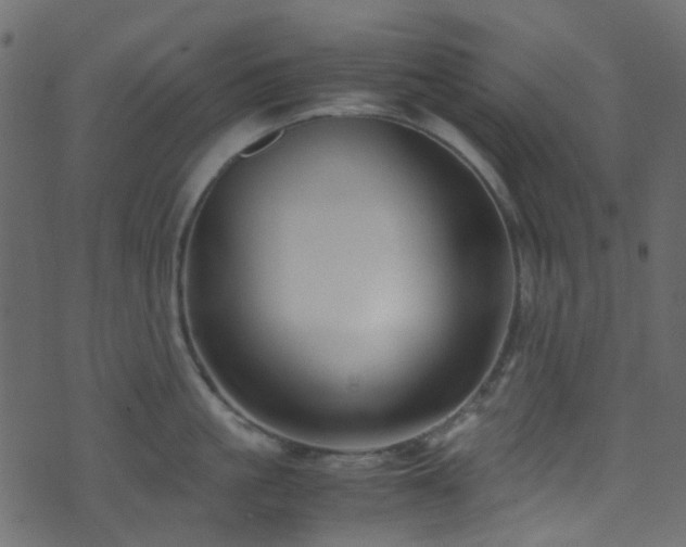 X0000071790861200606301243