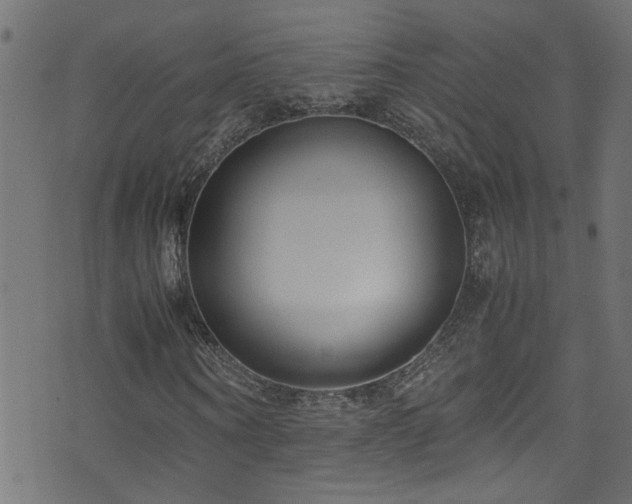 X0000071790866200606301242