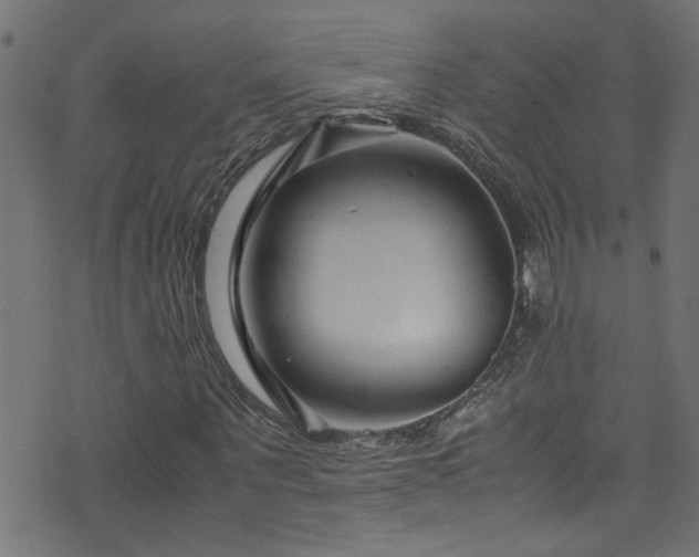X0000071790867200606301242