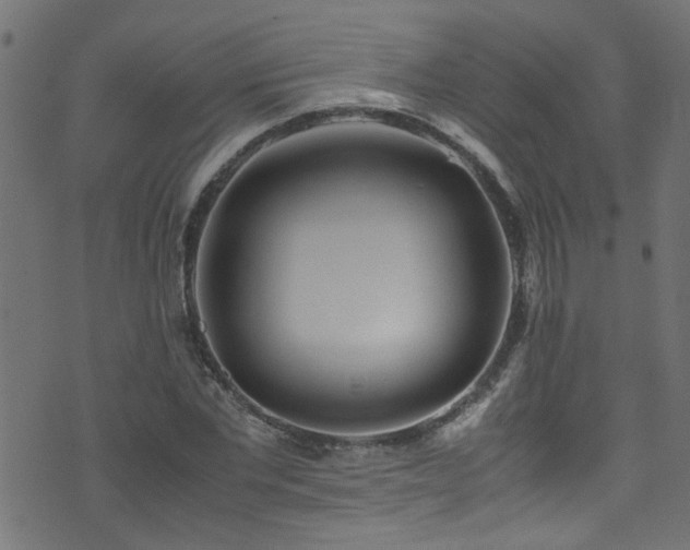 X0000071790877200606301242