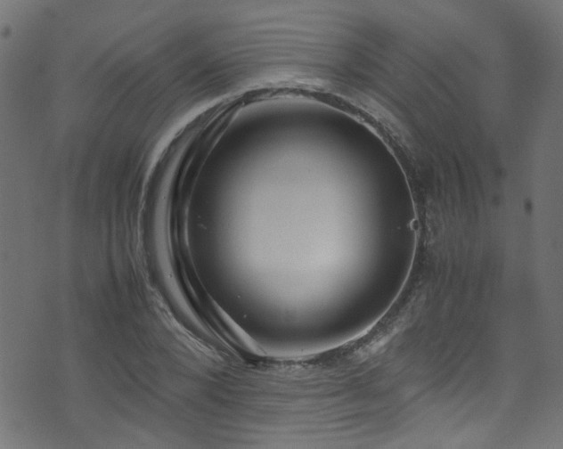 X0000071790880200606301242