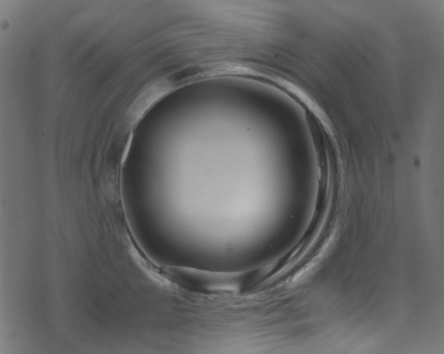 X0000071790905200606301242