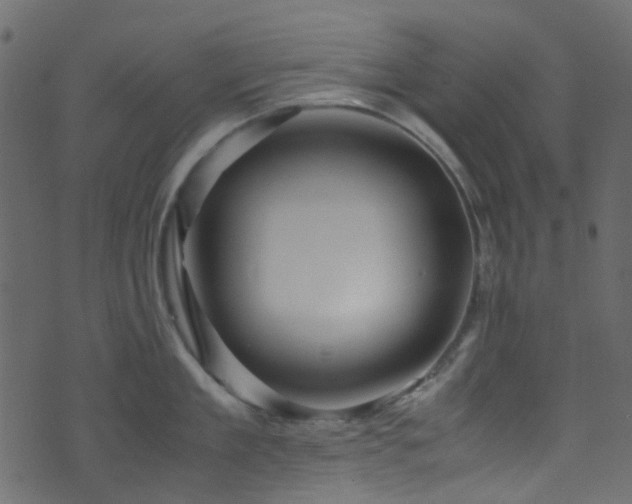 X0000071790909200606301242