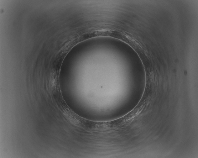 X0000071790914200606301241