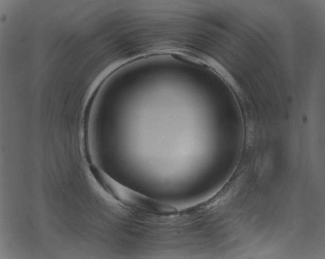X0000071790955200606301242