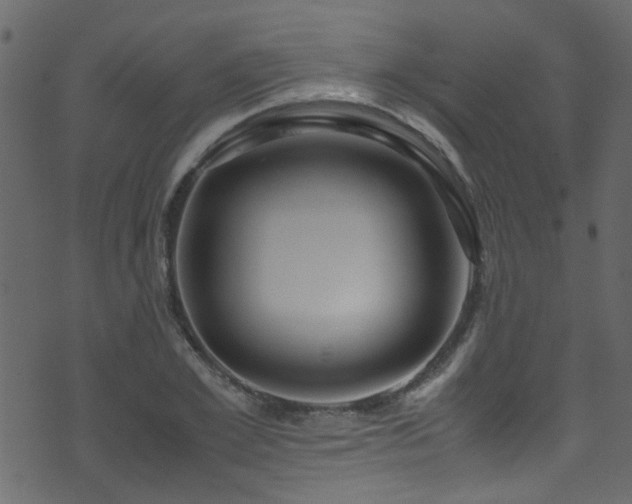 X0000071790981200606301241