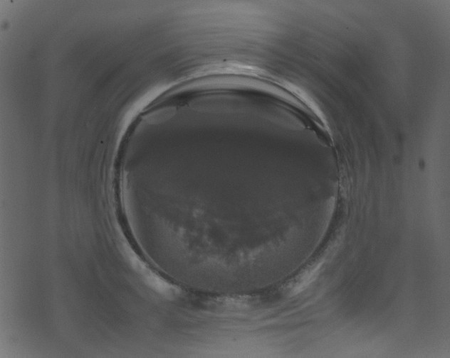 X0000071790995200606301240