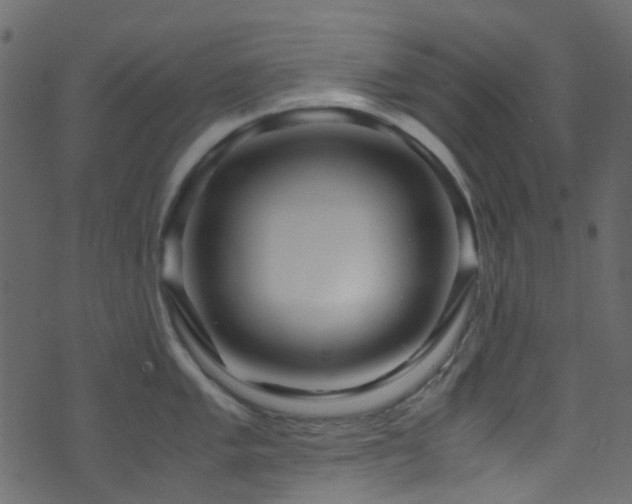 X0000071791005200606301240