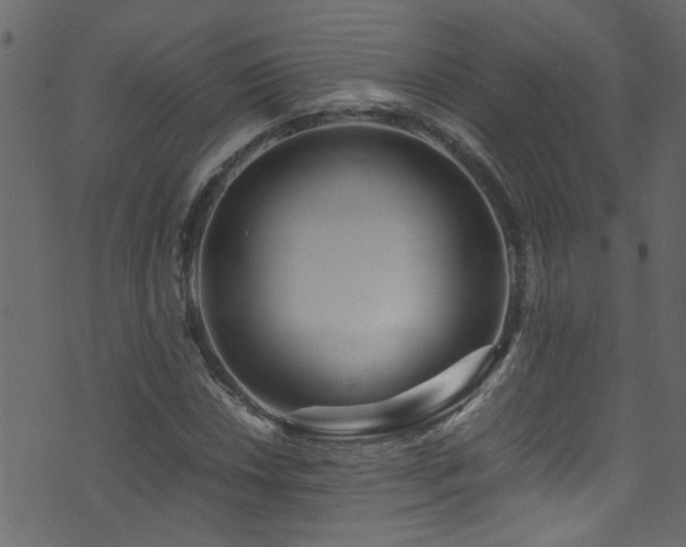 X0000071791018200606301240
