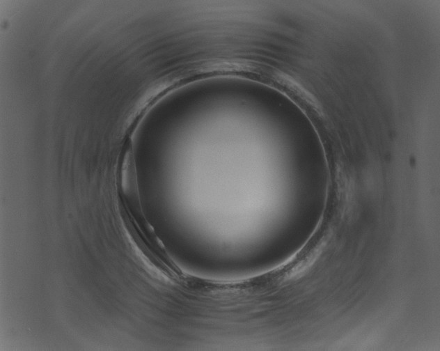 X0000071791033200606301240