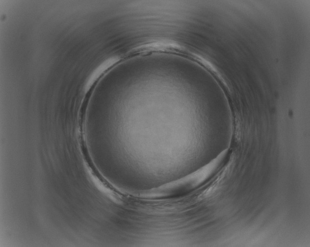 X0000071791042200606301240