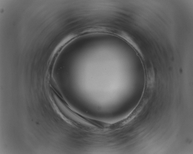 X0000071791053200606301240