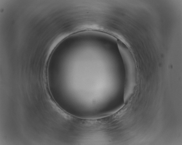 X0000071791056200606301240