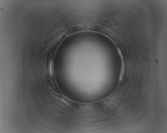 X0000071791058200606301239