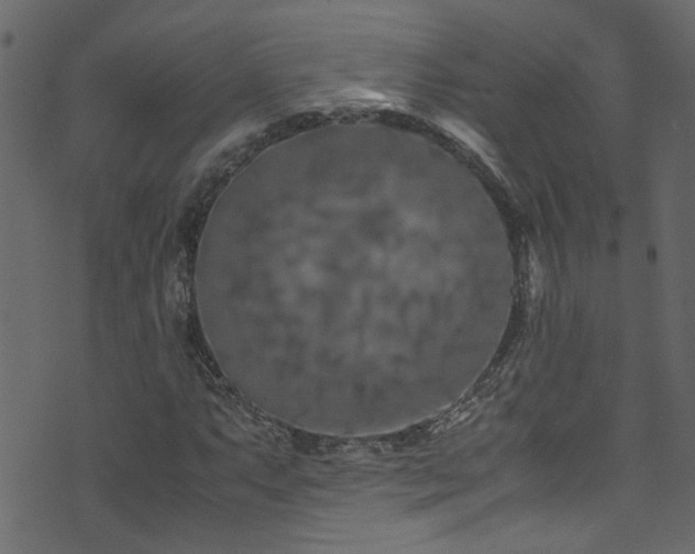 X0000071791063200606301239