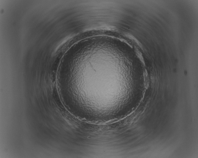 X0000071791064200606301239