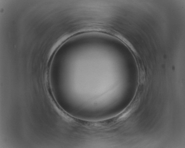 X0000071791101200606301239