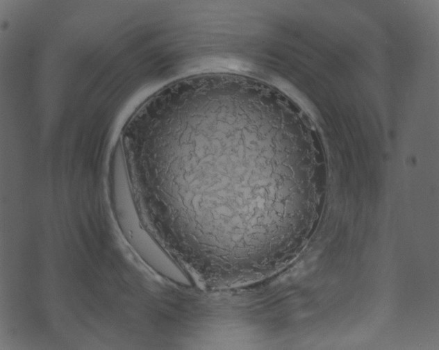 X0000071791104200606301239