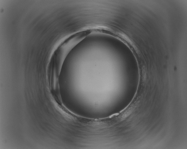 X0000071791124200606301238