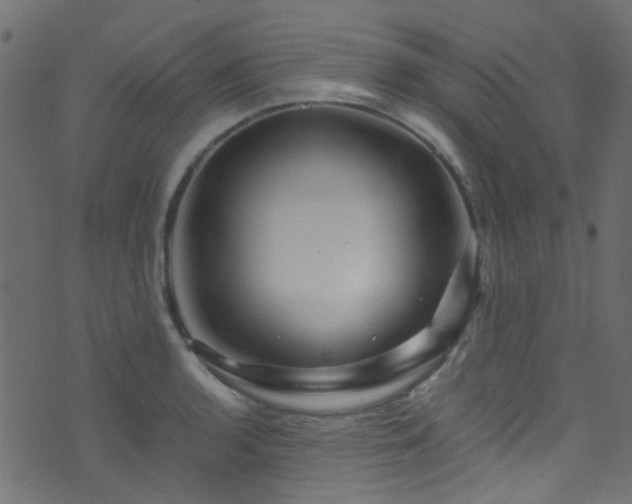 X0000071791136200606301238