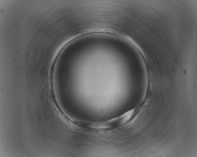 X0000071791148200606301239