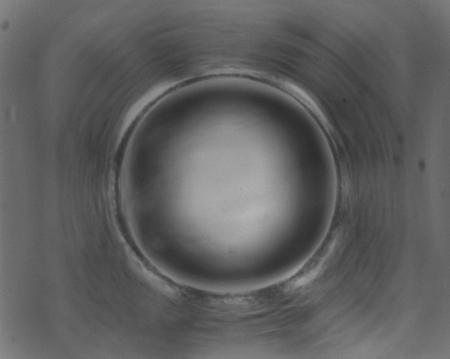 X0000071791149200606301239